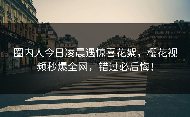 圈内人今日凌晨遇惊喜花絮,樱花视频秒爆全网,错过必后悔! 圈内人今日凌晨遇惊喜花絮,樱花视频秒爆全网,错过必后悔!