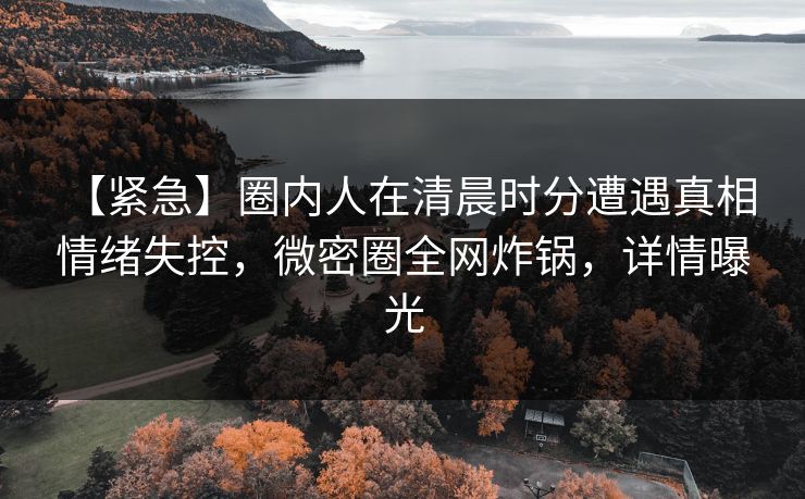【紧急】圈内人在清晨时分遭遇真相 情绪失控,微密圈全网炸锅,详情曝光 【紧急】圈内人在清晨时分遭遇真相 情绪失控,微密圈全网炸锅,详情曝光