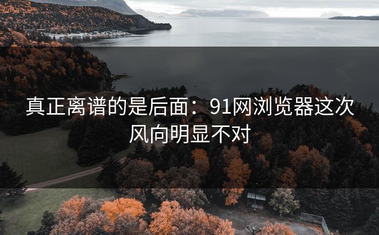 真正离谱的是后面：91网浏览器这次风向明显不对